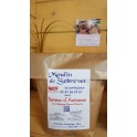 Saveurs d'automne